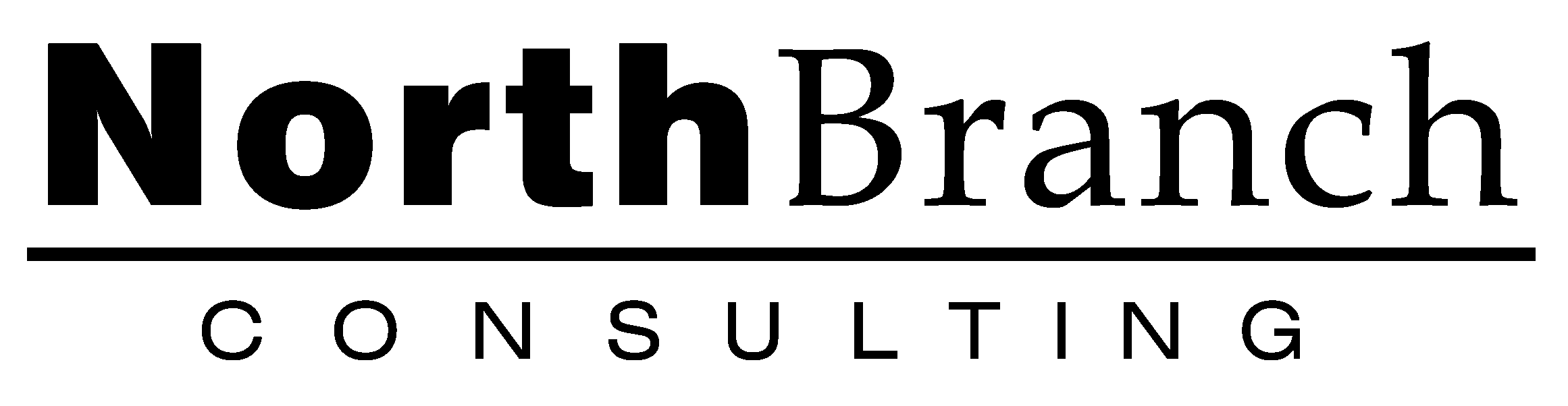 NorthBranch Consulting